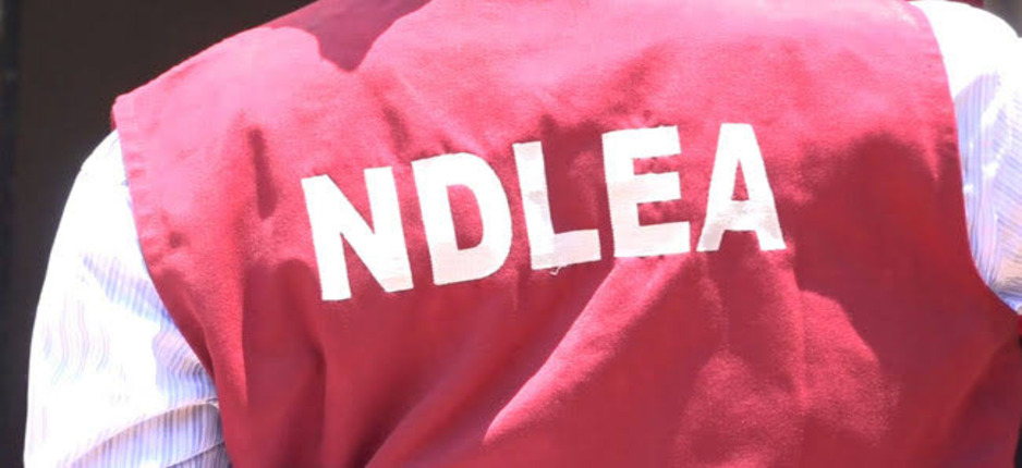 NDLEA Sentences Canadian lady To 11 years In Prison 