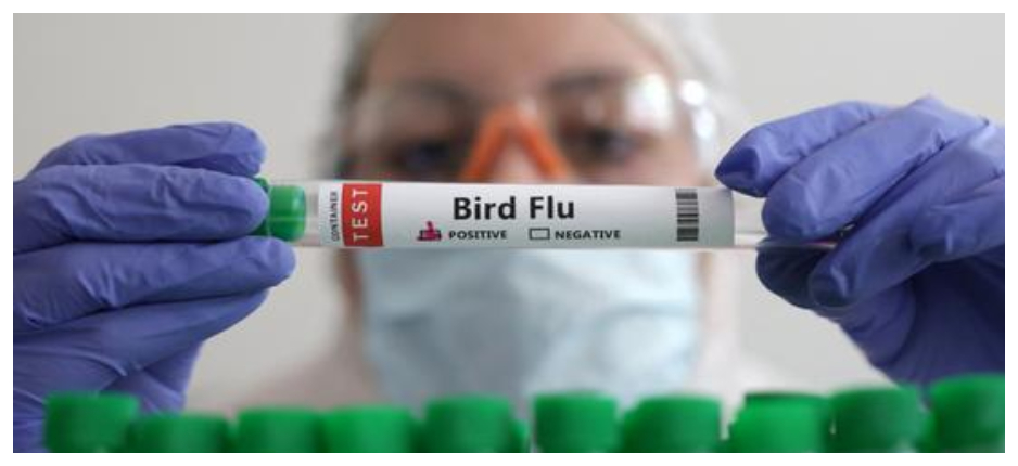 Suspected Human Case Of Bird Flu Detected In Odisha’s Puri