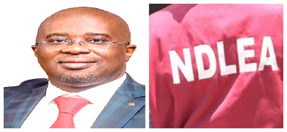 NDLEA  Justifies Drug Test Policy For Students
