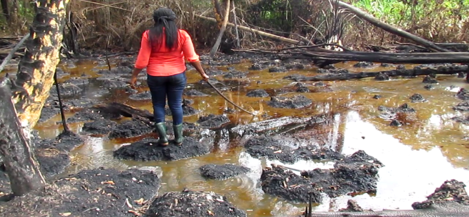 Rivers Community Seeks FG's Intervention in Fresh Oil Spill 