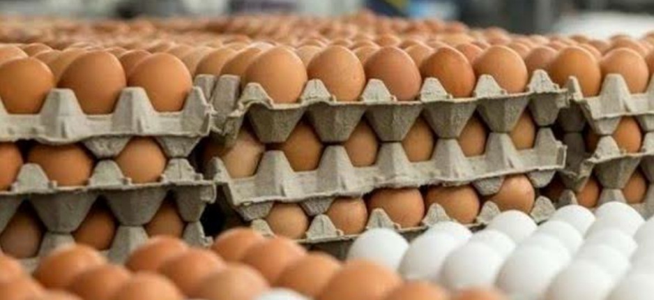 Egg Prices May Skyrocket to N10,000 per Crate, PAN Warns