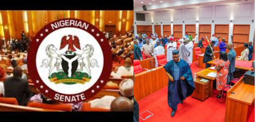 Senate Moves to Legalise  Large Firm-MSME Trade Agreements