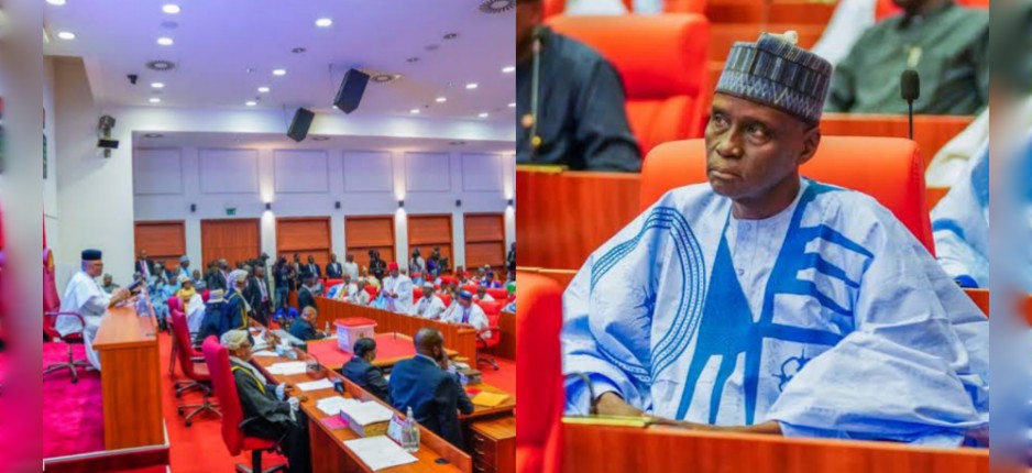 Senate Calls For Security Reinforcement In Borno LGAs