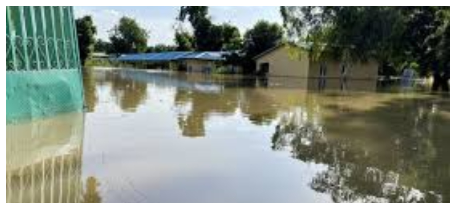 Flood Update: Flood Hits Ebonyi, Destroys Houses, Farmlands, properties 