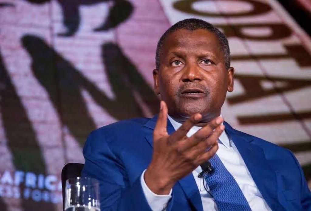 Media war between FG, Dangote bad for Nigeria -Energy Expert