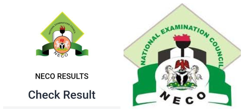 Quick Guide on How to Check 2024 NECO Results