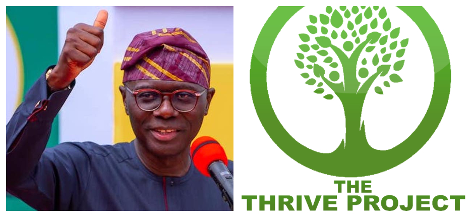 MMS Initiative: Lagos, NGO Take Action On Maternal Nutrition