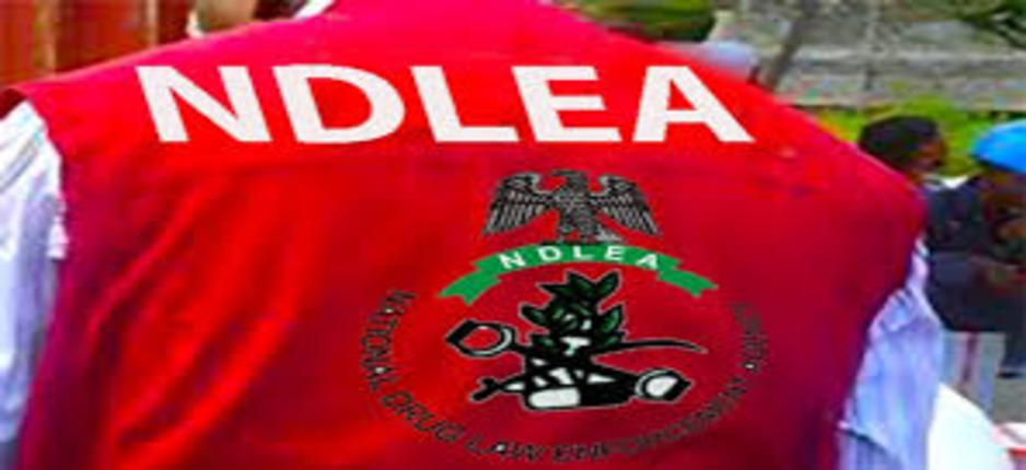 NDLEA Arrests Suspects With Cocaine Hidden In Sanitary Pads