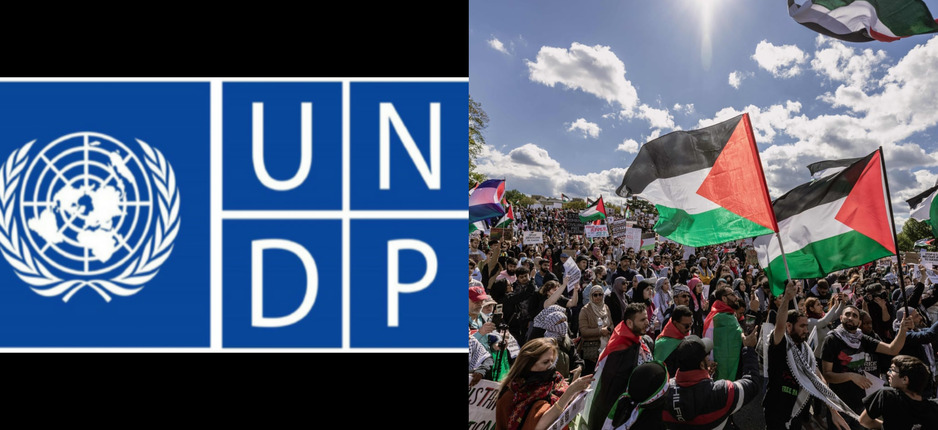 UN-Poverty Rate In Palestine Doubles To 74.3% 