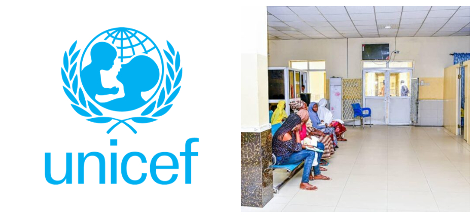 200m Nigerians at Risk of 17 'neglected' Diseases -UNICEF 