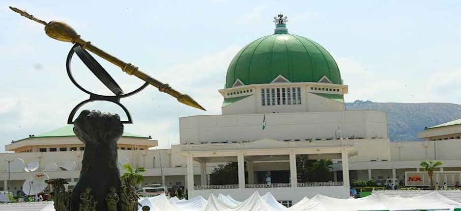 Senate Postpones Screening Of Bianca Ojukwu, Other Ministerial Nominees
