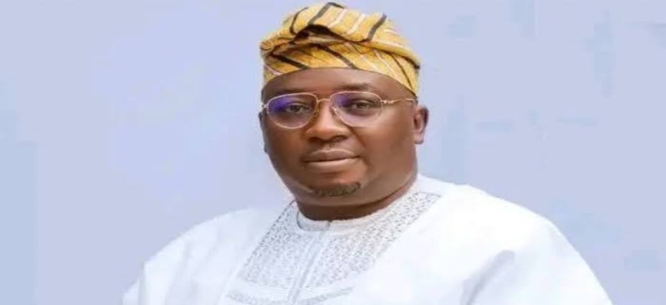 Nigeria to Get Universal Energy Access by 2060 -- Minister 