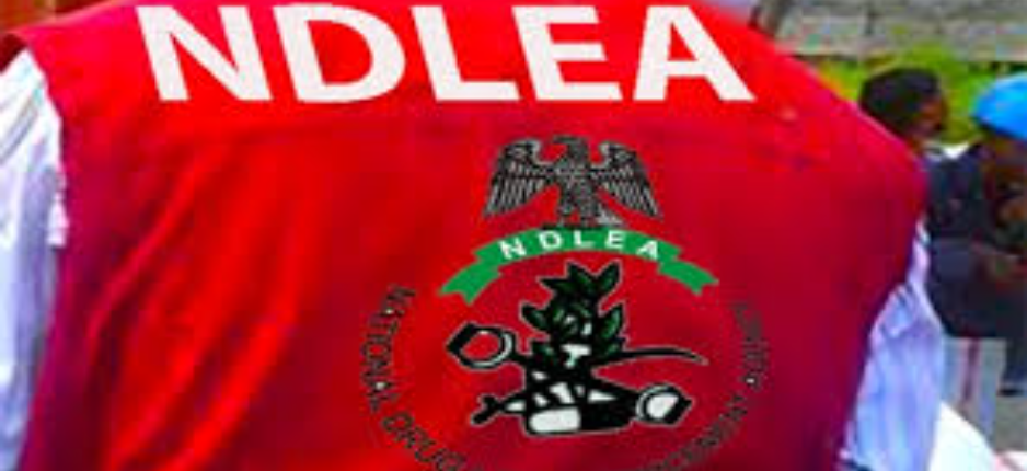 NDLEA Deals Massive Blow to Drug Traffickers