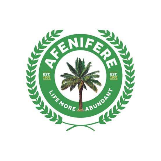 We are Not in Support of Planned Hunger Protest - Afenifere