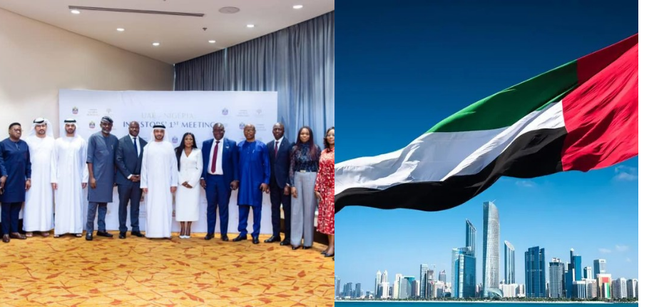 UAE Reaffirms Commitment to Nigeria's Growth