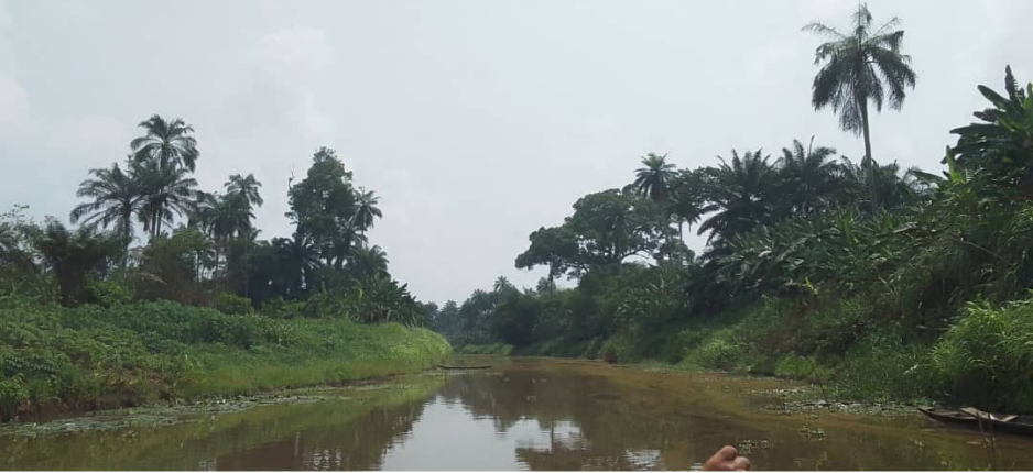 Obololi Community Decries Lack of Relief Efforts After Oil Spill